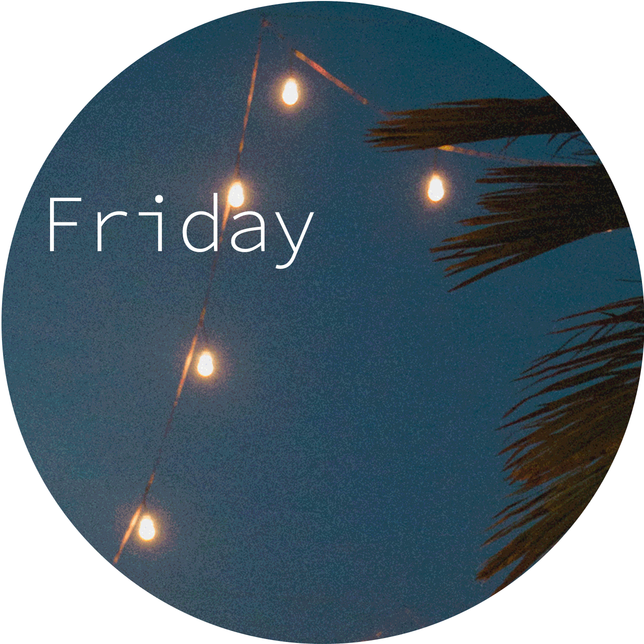 A circle with a palm tree and the word friday.