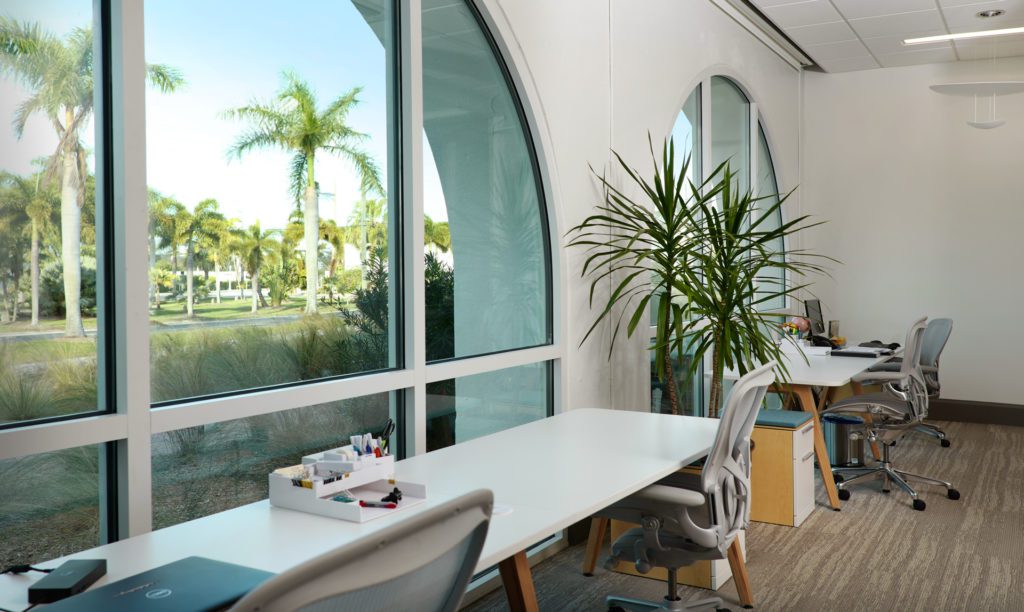Two desks and chairs, with big windows looking outside at palm trees