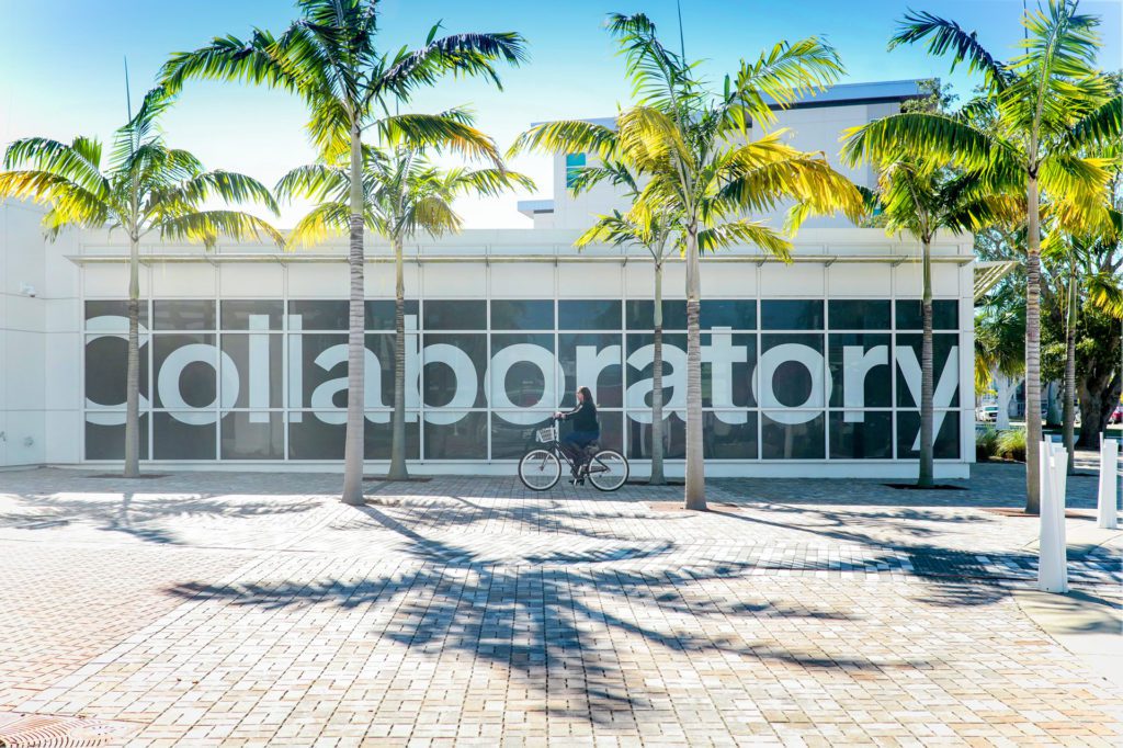 Outdoor patio with palm trees and a person biking in front of the Collaboratory building