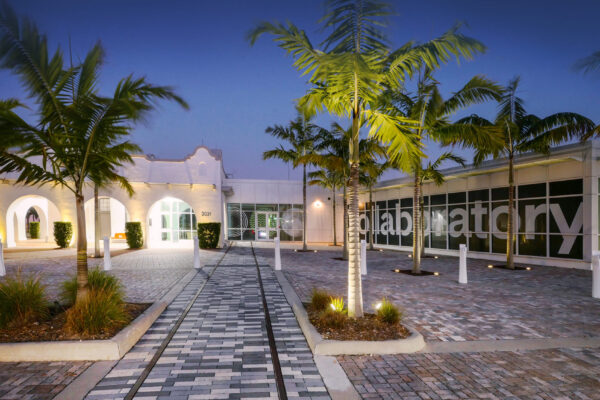 The entrance to a building at night with palm trees.