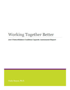2017 FutureMakers Capacity Assessment